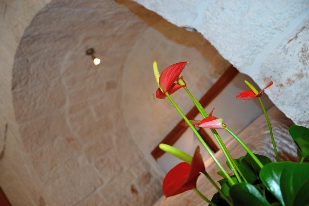 Il Trullo Del Mirto Villa Selva Di Fasano Ngoại thất bức ảnh